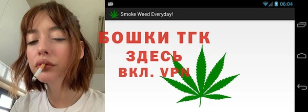 тгк Сатка