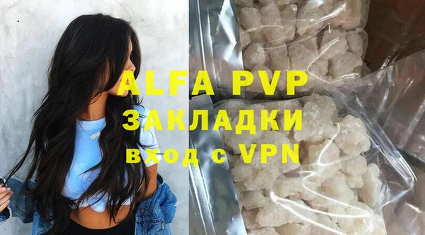 стаф Алексин