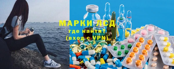 стаф Алексин