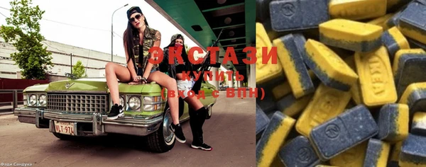 стаф Алексин