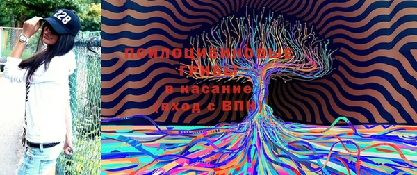 стаф Алексин